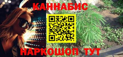 трава Партизанск