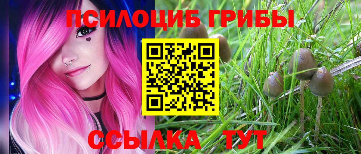 Галлюциногенные грибы Cubensis Партизанск