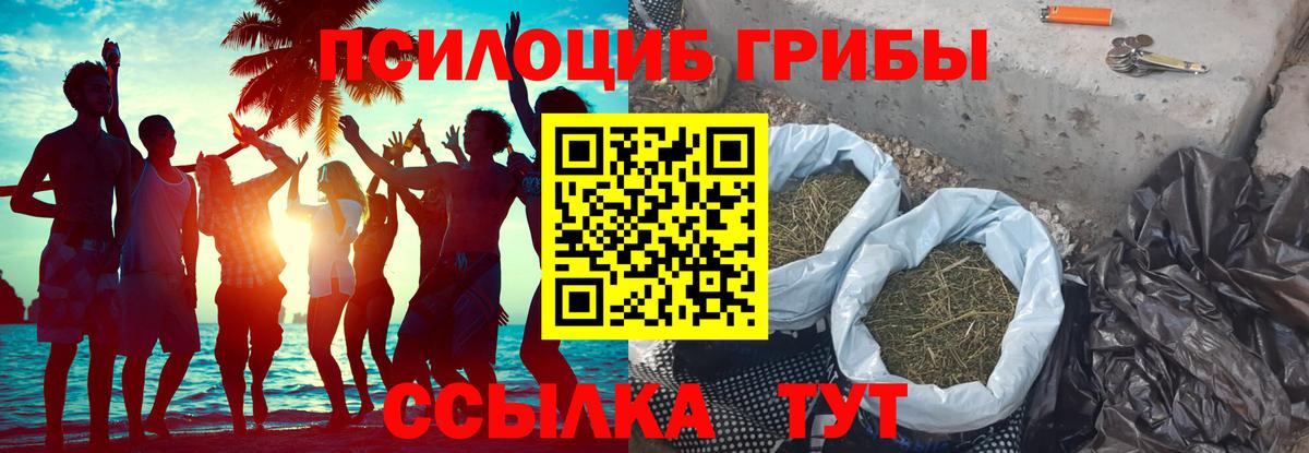 Партизанск  закладки  Вход с VPN  Псилоцибиновые грибы Magic Shrooms 